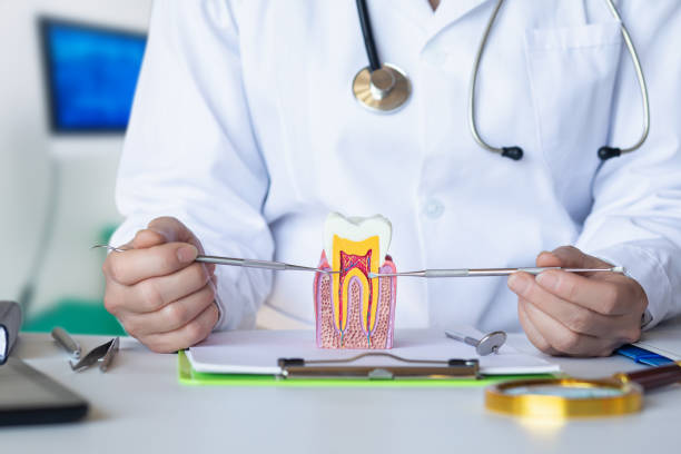 Best Weekend Emergency Dentist in Verona, VA